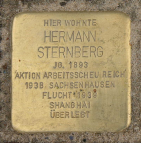 Datei:Stolperstein Sternberg H 7733.jpg