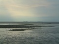 Wattenmeer 7.jpg