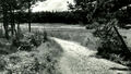 Finkenmoor Bahndamm 1950.jpg