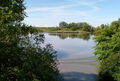Ostesee IMG 2025-05-09-11-14-31-420.jpg