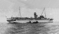 Schiff COBRA II 700.jpg