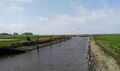 Hadelner Kanal IMG 2025-05-06-14-57-21-655.jpg