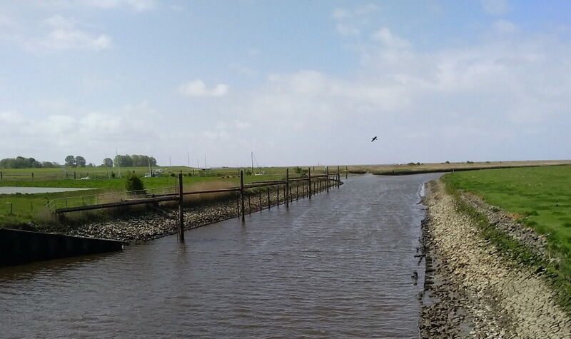 Datei:Hadelner Kanal IMG 2025-05-06-14-57-21-655.jpg