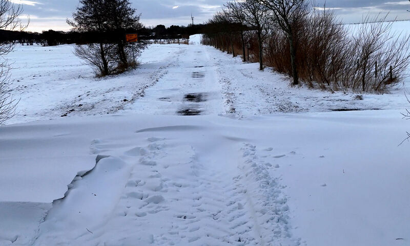 Datei:Arensch 02 26.jpg