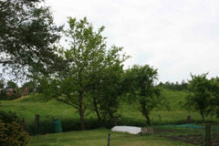 KategorieFranzenburg cuxpedia