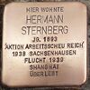 Stolperstein Hermann Sternberg.jpg