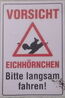 Vorsicht Eichhörnchen IMG 2024-09-27-12-12-05-073.jpg